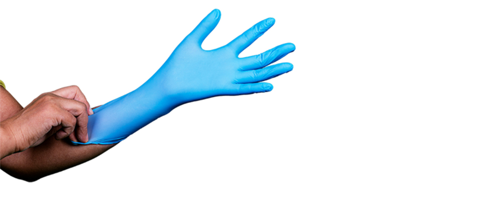 240mm Nitrile Examination Gloves