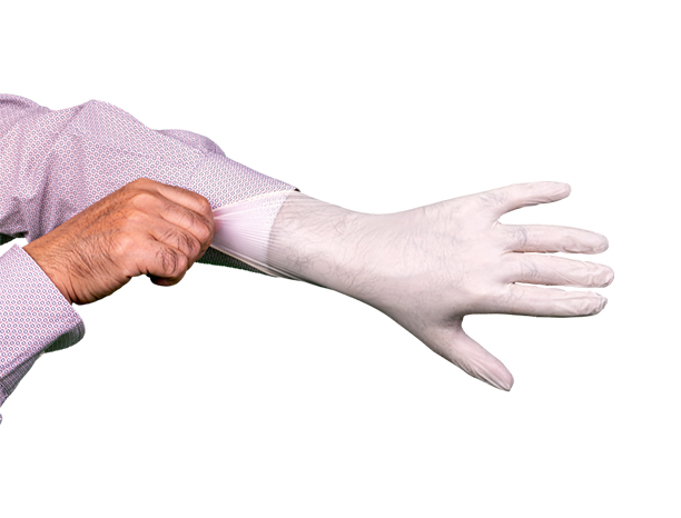 stretch vinyl exam gloves